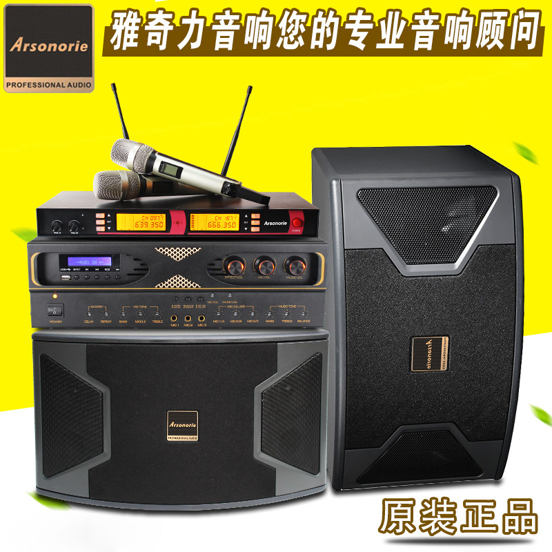 雅奇力家庭KTV音响套装会议功放专业卡包音箱 电视卡拉ok家用