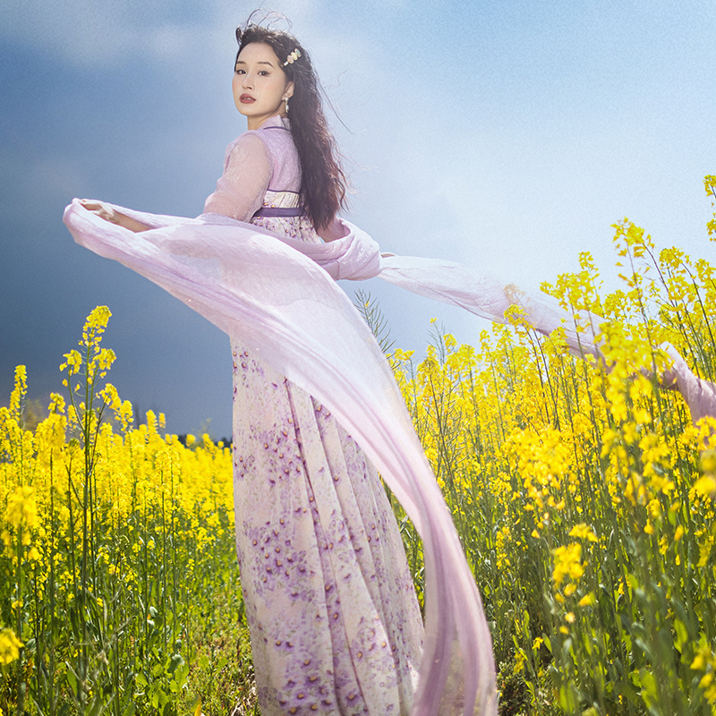 现货【长乐词】复古改良版齐胸襦裙女夏雪纺印花长裙汉元素大裙摆,女装/女士精品,连衣裙,淘宝优惠券,粉丝福利购,淘宝优惠卷