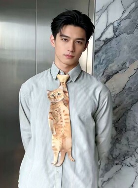 小猫咪打领带小猫形状图案造型猫猫抽象领结送男朋友礼物宠物领带
