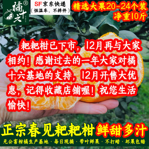 橘十六四川春见耙耙柑10斤大果爆汁手剥橘新鲜水果纯甜顺丰包邮 - 封面
