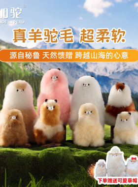 印加驼毛绒礼物玩偶羊驼真毛