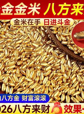 财运黄金米沙金米粒沙金小元宝招财进宝黄铜米聚宝盆里放的东西