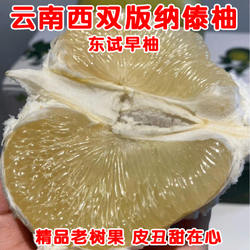 现摘老树果云南西双版纳傣柚子东试早蜜柚新鲜水果泡果中秋礼品