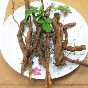 纯天然茅莓根500克 新鲜枝叶国公根红梅消根三月泡根虎姆根中药材