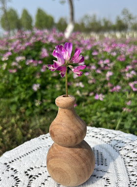 天然纹理 小叶香樟小葫芦 小花器8cm高 有树结有风化裂多样性