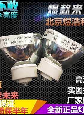 原装Eiki爱其LC-AE32L/AE36W/AE38/WS250i/250Ai投影机仪灯