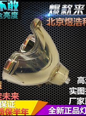 JVC DLA-RS40 DLA-RS40U DLA-RS50 DLA-RS60 DLA-X3 X7投影机灯泡