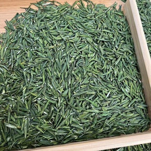 2025年新茶上市四川万源巴山绿茶明前雀舌茶厂直销散装现炒现卖