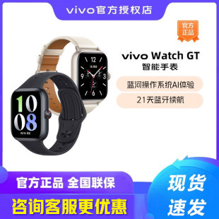 Watch 智能手表 GT手表 vivowatch2手表 vivo手环 vivo手表2 vivo