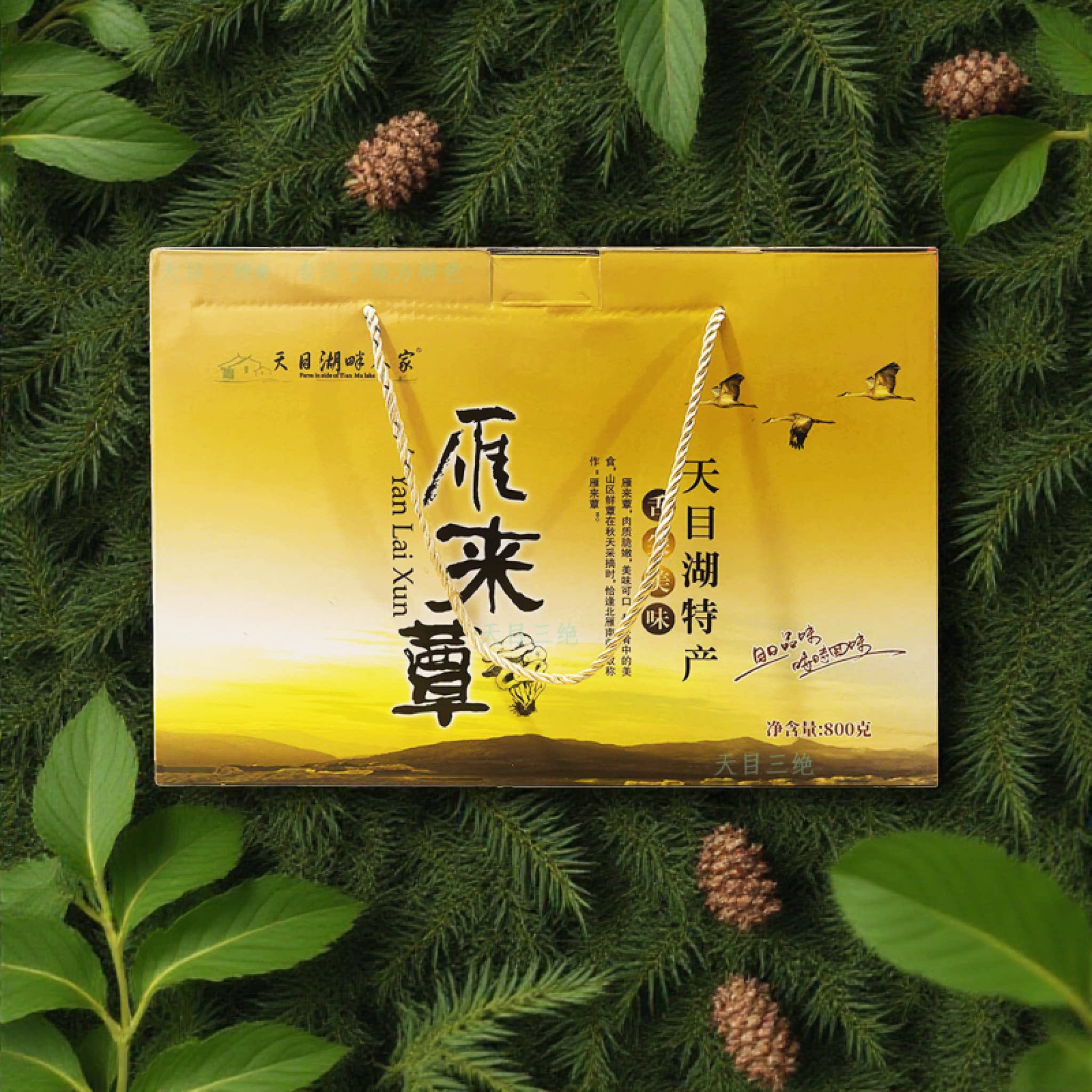 常州溧阳天目湖特产天目湖畔人家香菇类