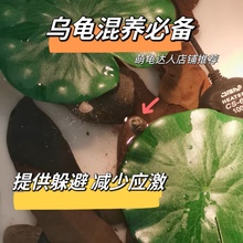 乌龟躲避水草龟缸仿真水草造景装饰假草绿植荷叶鱼缸假水草养龟