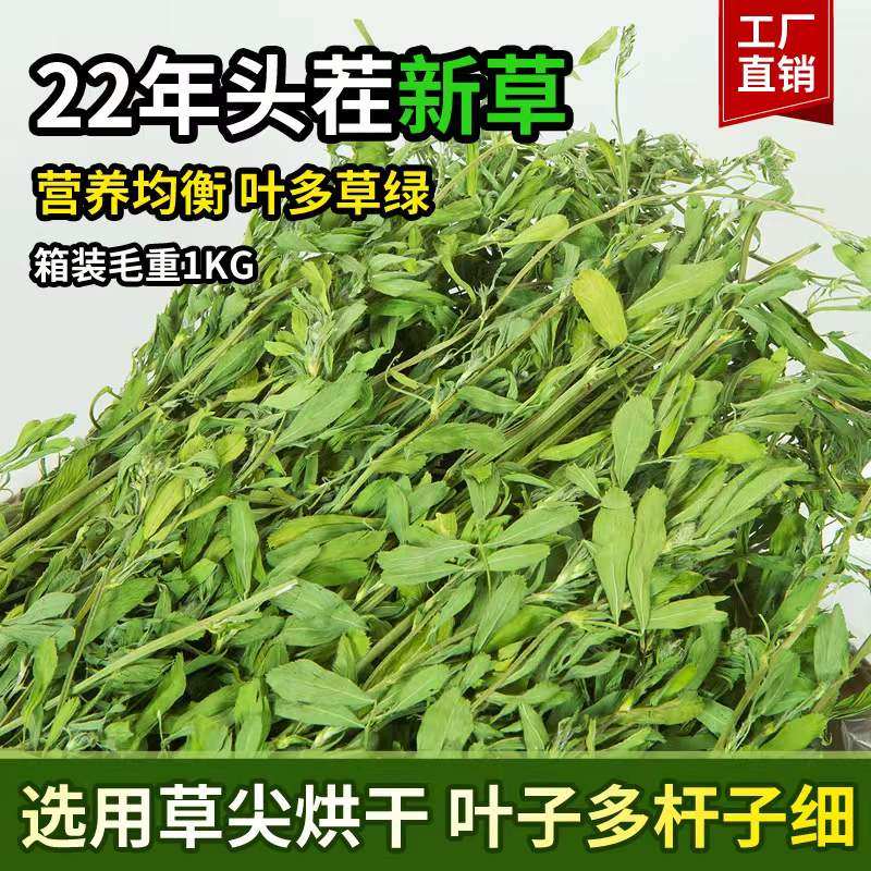 烘干紫花苜蓿草兔草荷兰猪龙猫牧草粮食幼兔饲料兔粮苜宿草干草,宠物/宠物食品及用品,兔兔干草,淘宝优惠券,粉丝福利购,淘宝优惠卷