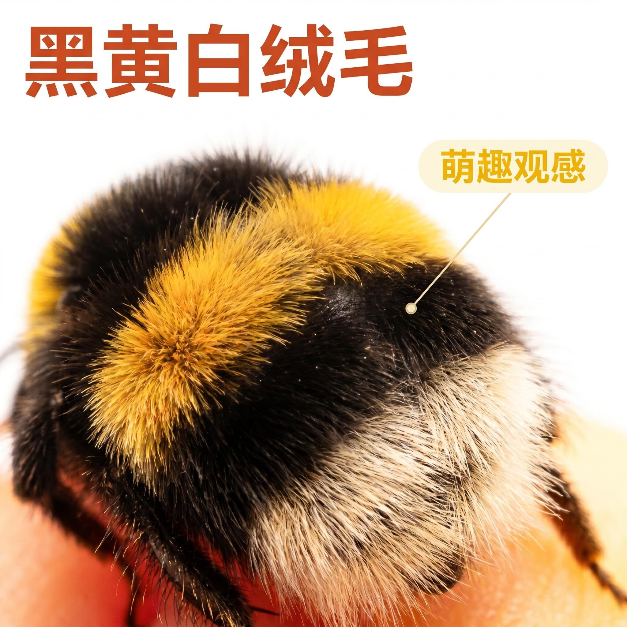 熊蜂访花授粉坐果均匀省工省力