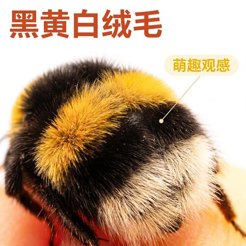 熊蜂访花授粉坐果均匀省工省力