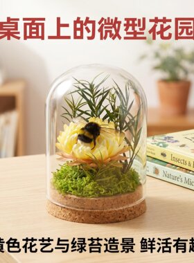 熊蜂访花授粉坐果均匀省工省力