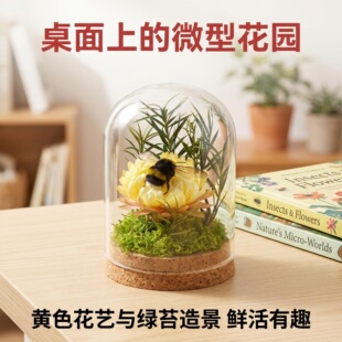 熊蜂自然访花授粉蜂坐果均匀代替人工省工省力蜜蜂授粉
