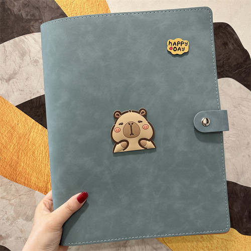 新卡通孕妈产检资料册孕妇孕期b超档案册a4a5软皮活页便携收纳册