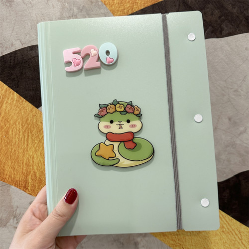 新款孕妇报告单收纳册蛇宝宝产检小本a4a5绑带档案册便携式资料册