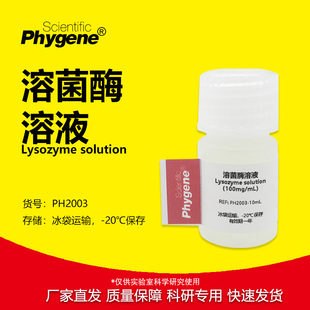 溶菌酶溶液 胞壁质酶100mg/mL 5mg/L 科研实验试剂 PHYGENE