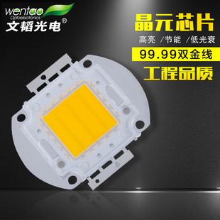WT大功率LED燈珠集成光源路燈投光射燈工礦燈白光暖白100w50w30W