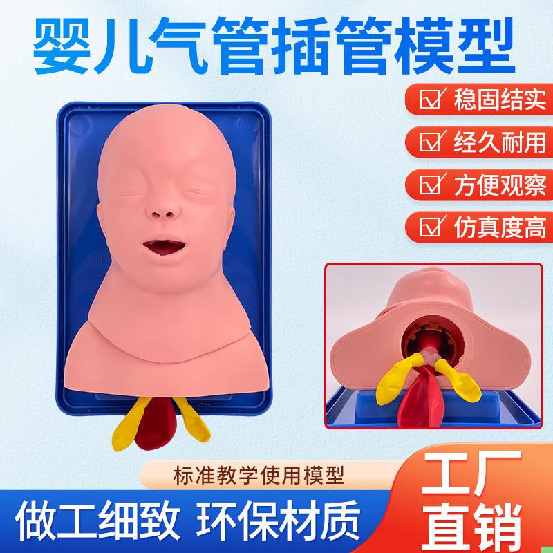 新生儿气管插管模型小儿急救训练假人 模特婴儿气管插管练习模具