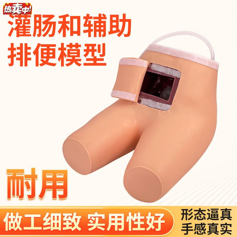 灌肠模型辅助排便和灌肠训练习模型医学m用灌肠排便教学模型人体