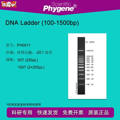 DNALadder(100-S1500bp)DNAMarker100TPH0011PHYGENE