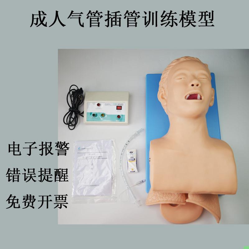 实训人体气管插管训练模型 带电子牙齿报警 成人急救训练教学模具
