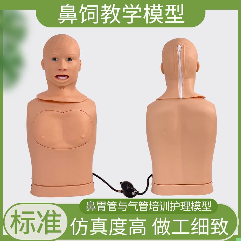 高级鼻胃管与气管护理模型 鼻胃管护理模型 鼻饲模型 护理教学