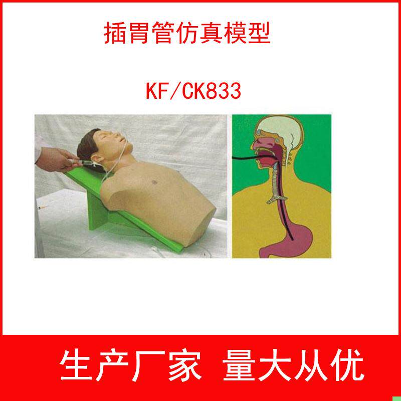 插胃管仿真模型胃灌洗操作训练模型胃肠减压术胃液采集术模型