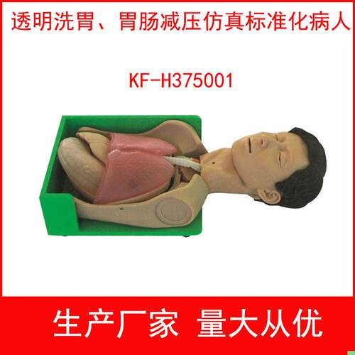 透明洗胃胃肠减压仿真标准化病人 透明洗胃模型护理技能训练