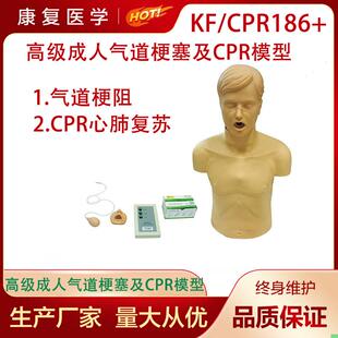 高级成人气道梗塞及CPR模型成人海氏急救模型成人海姆立克模型