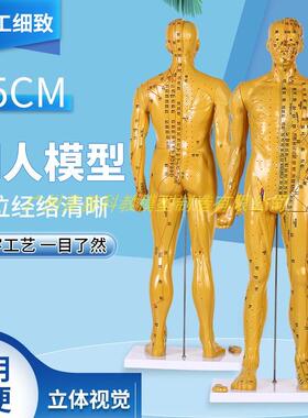 85cm超清晰经络通针灸铜人体穴位模型中医针灸人体模型十二经络图