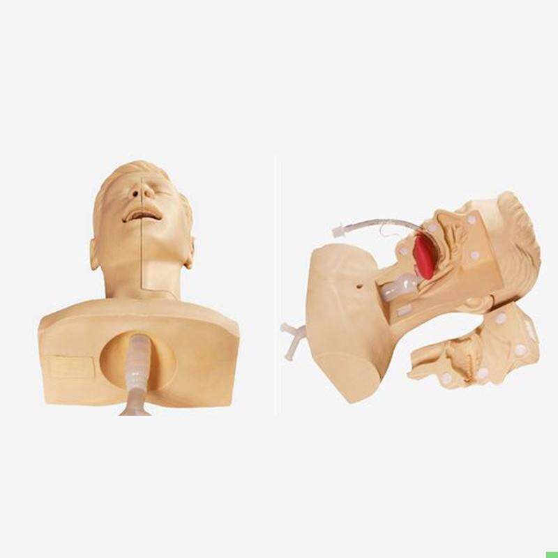 H85吸痰练习模型口鼻腔插管练习家政护士培训护理教学假人体模具