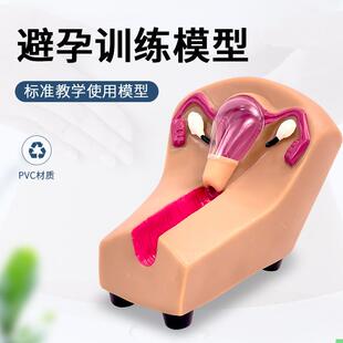 女性宫内避孕及训练模型F5N 女性节育计生模型 女性上环训练模型