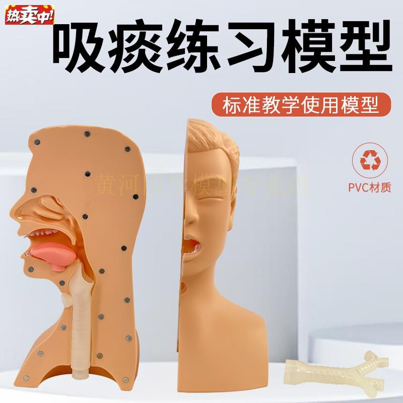 高级吸痰练习模型鼻腔口腔插管吸引训练模型r医学用操作教学模型