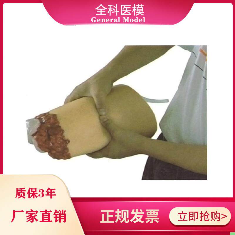 下肢外伤断肢止血模型人体大腿断肢包扎止血模具医教学培训 模型