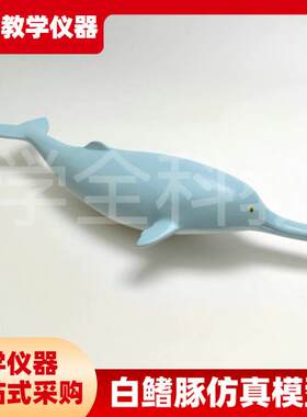 白鳍豚仿真模型仿真动物系列模型教学仪器海洋生物模型教具模型