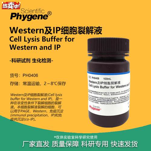 Western及IP细胞裂解液附送PMSF100mL[PH0406PBHYGENE]