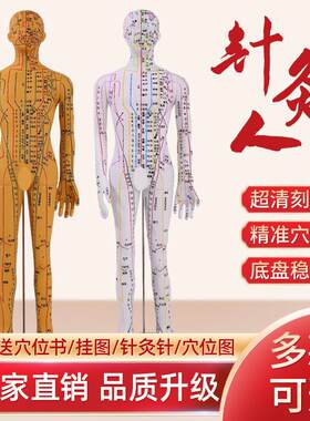 超清人体针灸穴位模型经络 铜人刻字中医学教学人体模型男女小人