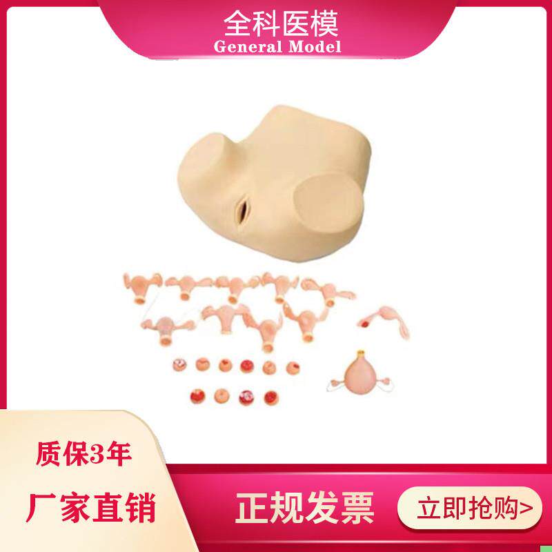 妇科检查训练模型脓肿积水宫颈炎白斑息肉女性生殖器护理人模型