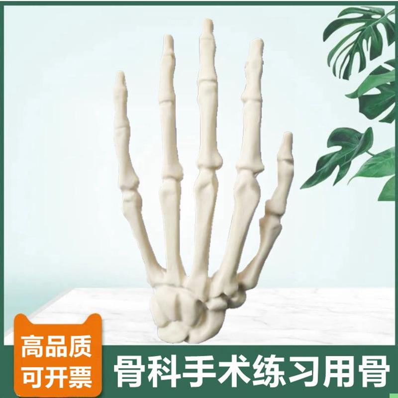 1比1手骨模型临床骨科手术练习用仿真骨医师技能考试左右手腕骨头