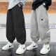 春秋款 2026新款 痞帅儿童裤 子春装 男童工装 宽松中大童休闲束脚裤 裤