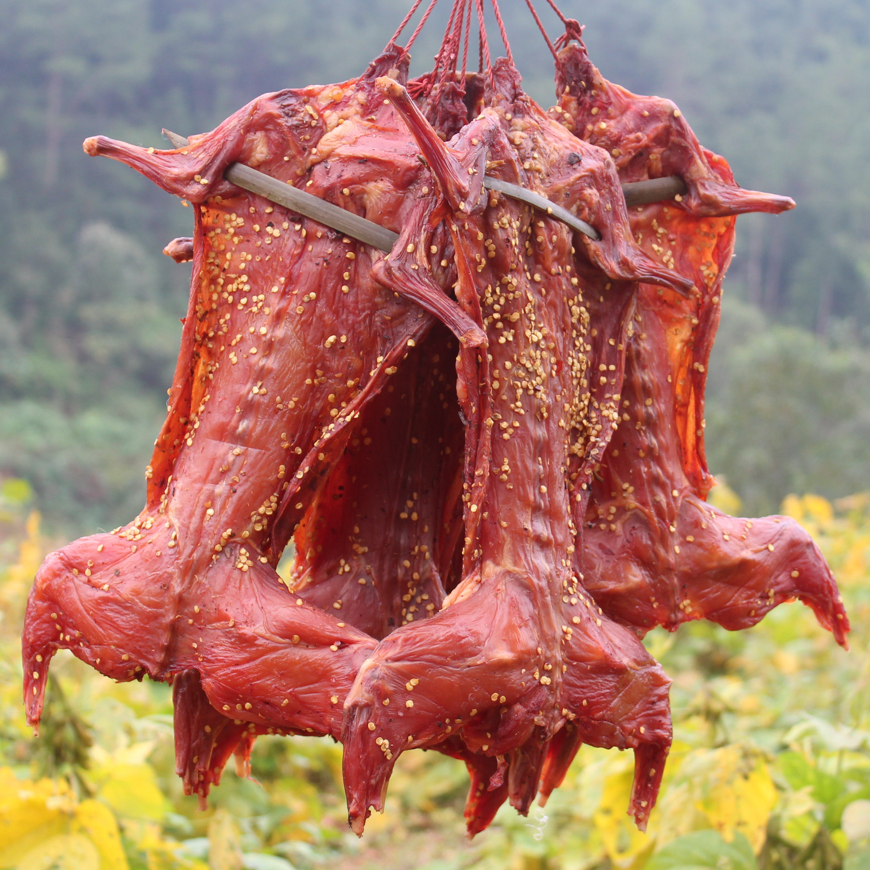 四川特产自贡冷吃兔农家柴火烟熏腊兔整只腊肉手撕兔麻辣五香烤兔