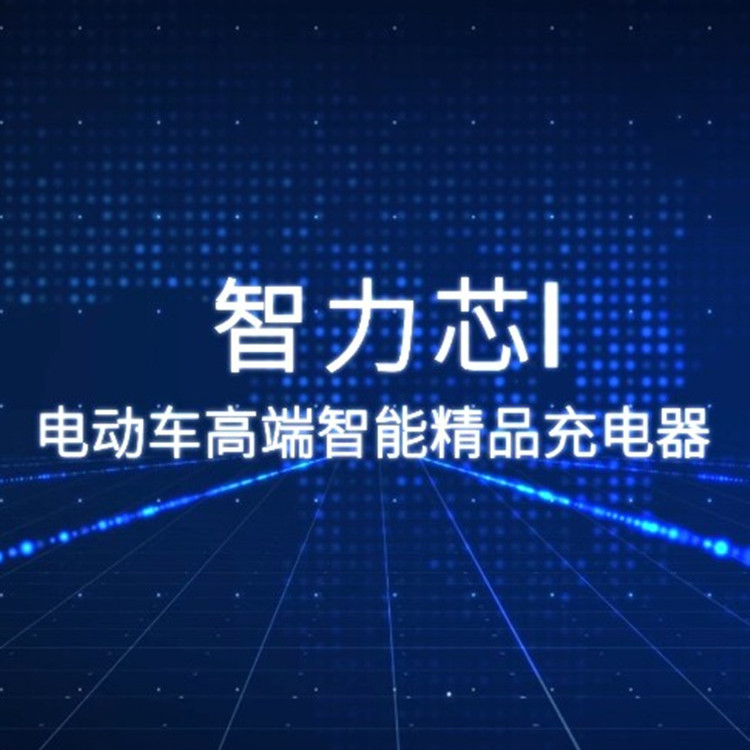电动车充电器三轮四轮铅酸锂电通用48V10A15A60V72V20A智能显定制