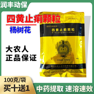兽用四黄止痢颗粒猪牛羊鸡鸭鹅禽用改善肠道黄白痢血痢大肠杆菌正