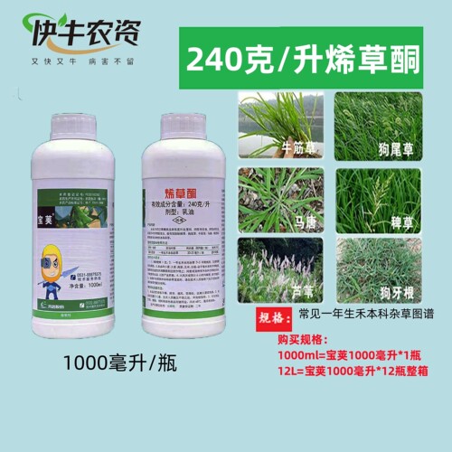 先达宝荚240克/升烯草酮除草剂