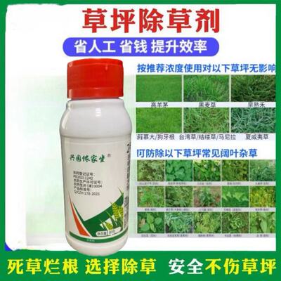 草坪专用除草神剂马尼拉百慕大狗牙根高羊茅草坪除阔叶杂草烂根