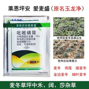 坪安爱麦盛农药除草剂玉龙净日本矮麦冬玉龙草鸢尾禾阔莎杂草全除