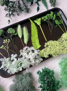 绿色永生花真花干花DIY材料包手工制作相框团扇团建混装叶子礼物